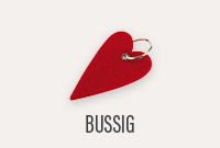 BUSSIG